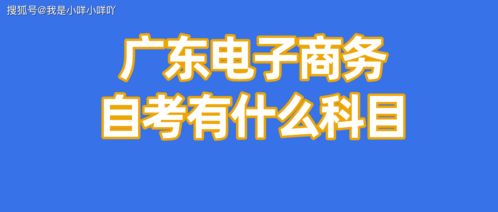 电子商务成人自考专业