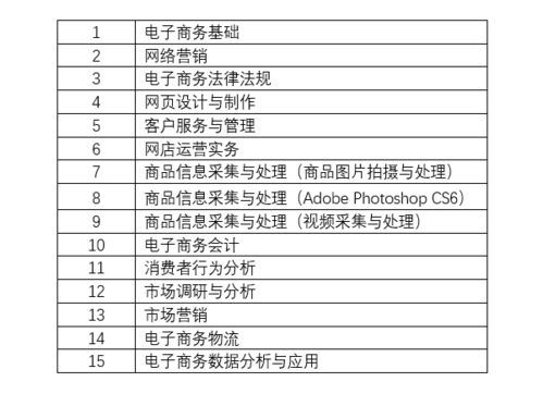 1电子商务专业特长