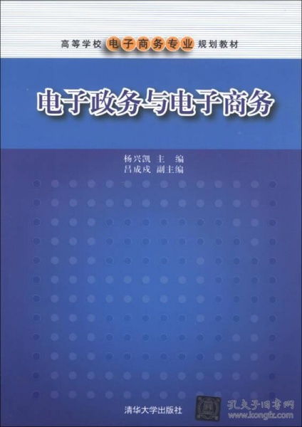 电子商务专业学的软件